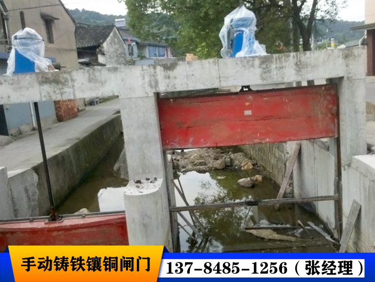铸铁镶铜闸门